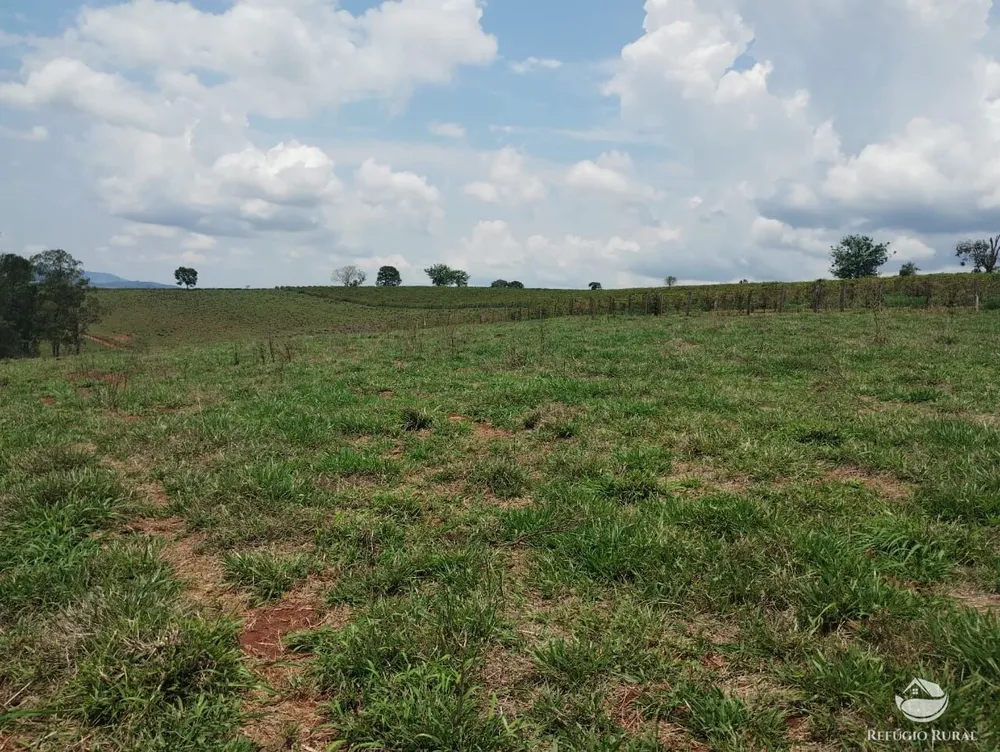 Fazenda, 77 hectares - Foto 13