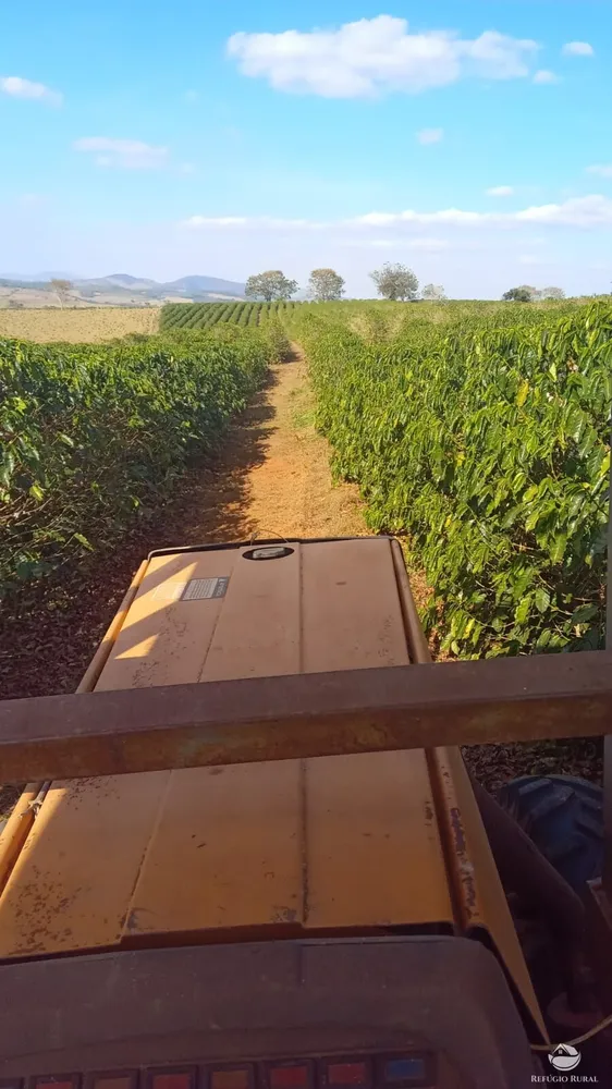 Fazenda, 77 hectares - Foto 34