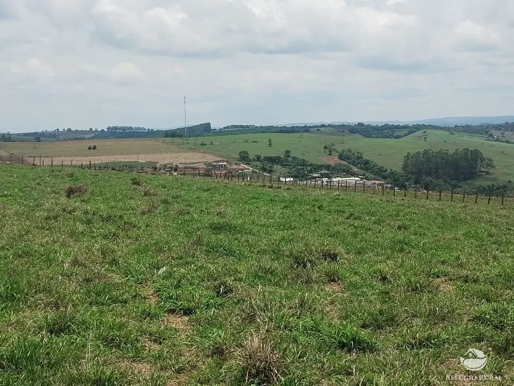 Fazenda, 77 hectares - Foto 16