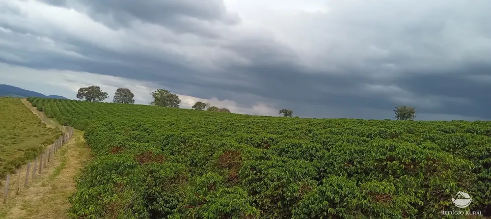 Fazenda, 77 hectares - Foto 30