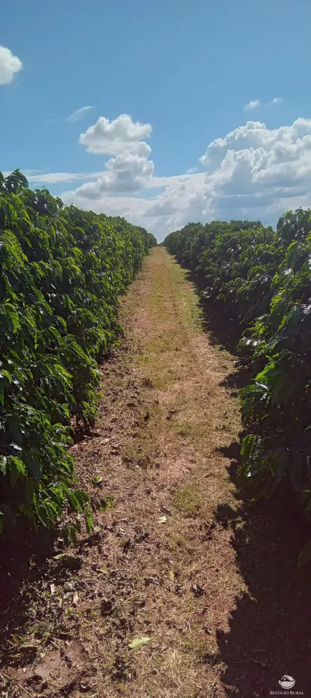 Fazenda, 77 hectares - Foto 35