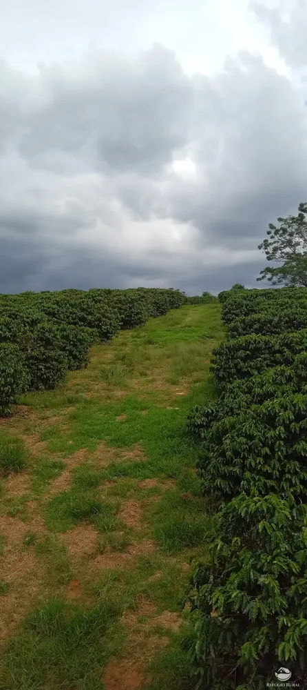 Fazenda, 77 hectares - Foto 45