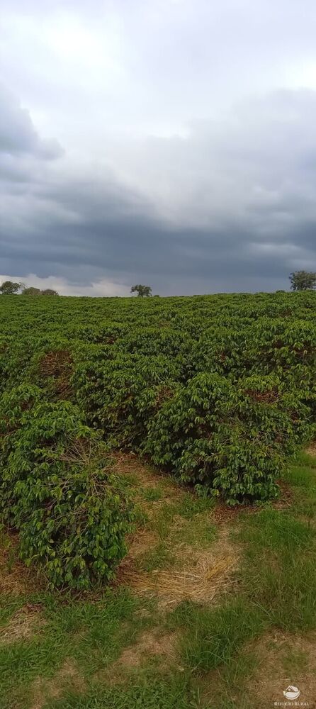 Fazenda à venda com 2 quartos, 774400m² - Foto 23