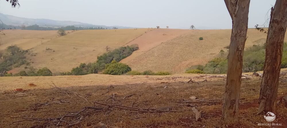 Fazenda à venda com 2 quartos, 774400m² - Foto 18