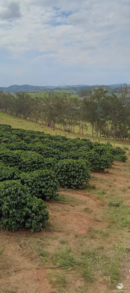 Fazenda à venda com 2 quartos, 774400m² - Foto 22