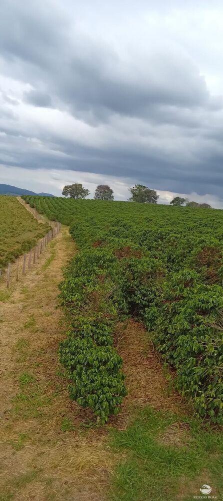 Fazenda à venda com 2 quartos, 774400m² - Foto 24