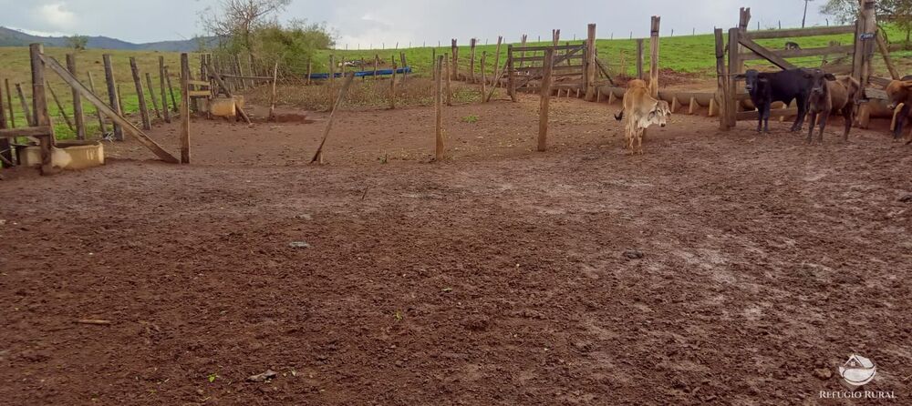 Fazenda à venda com 2 quartos, 774400m² - Foto 31