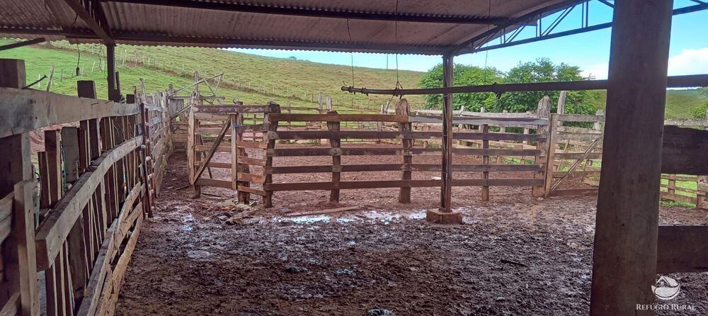 Fazenda à venda com 2 quartos, 774400m² - Foto 30