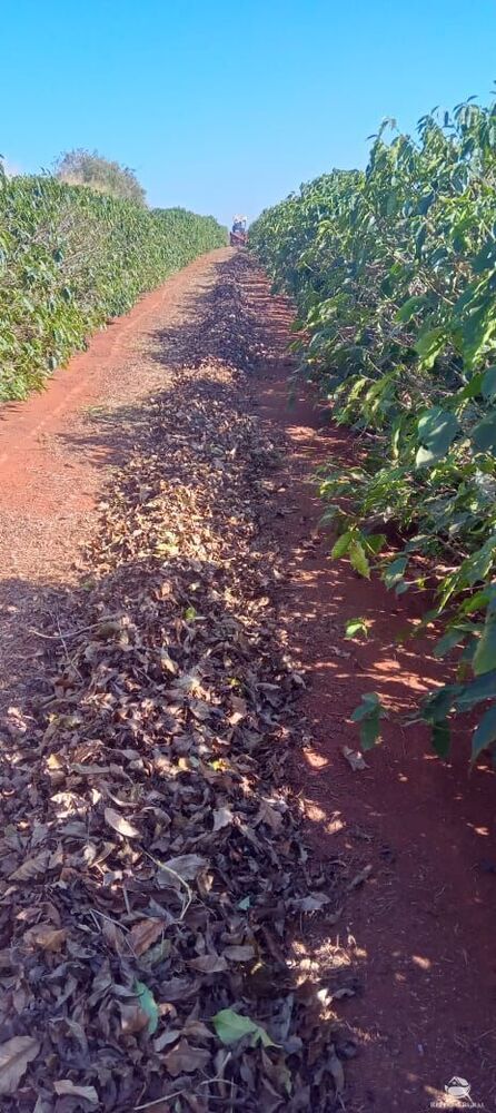 Fazenda à venda com 2 quartos, 774400m² - Foto 29