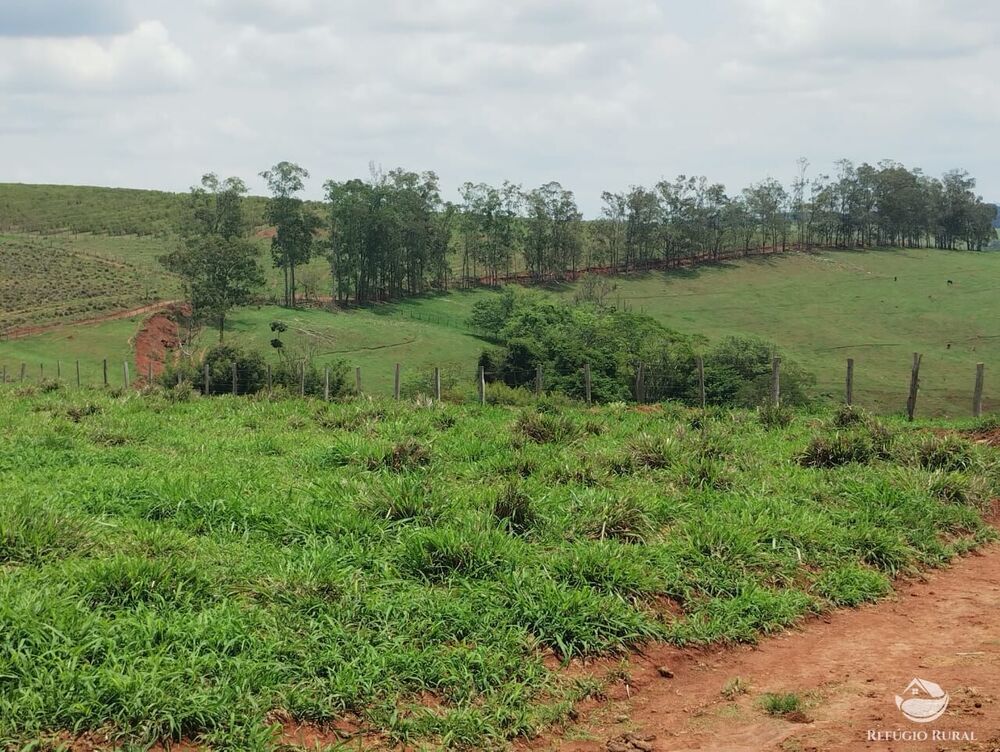 Fazenda à venda com 2 quartos, 774400m² - Foto 5