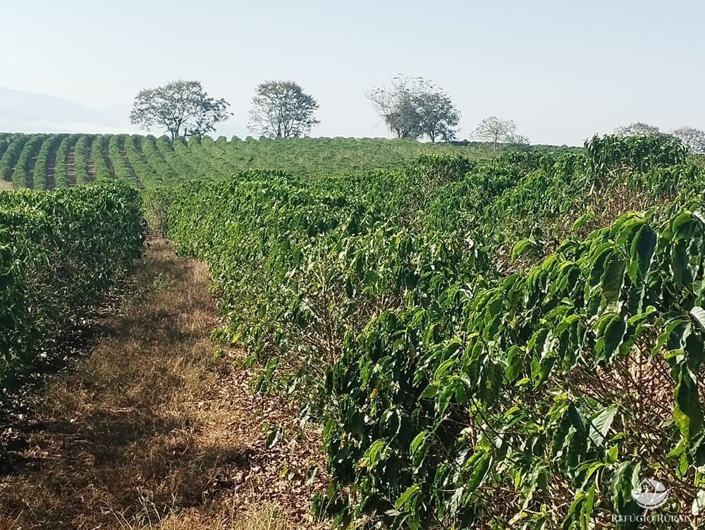 Fazenda à venda com 2 quartos, 774400m² - Foto 17