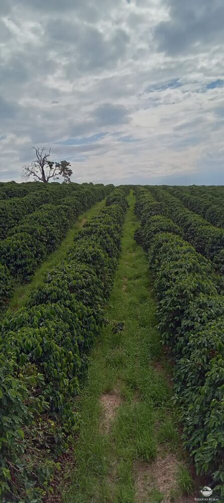 Fazenda à venda com 2 quartos, 774400m² - Foto 25