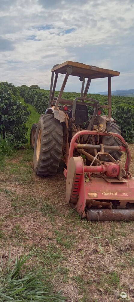 Fazenda à venda com 2 quartos, 774400m² - Foto 28