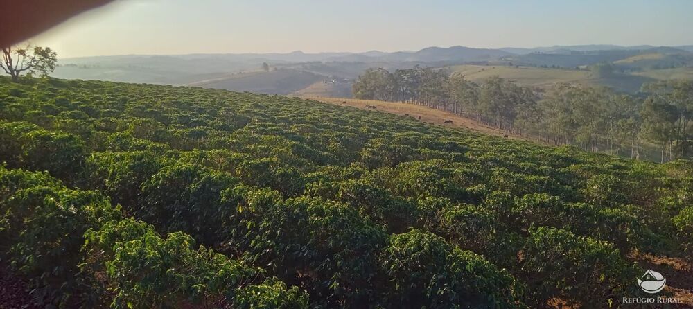 Fazenda à venda com 2 quartos, 774400m² - Foto 26