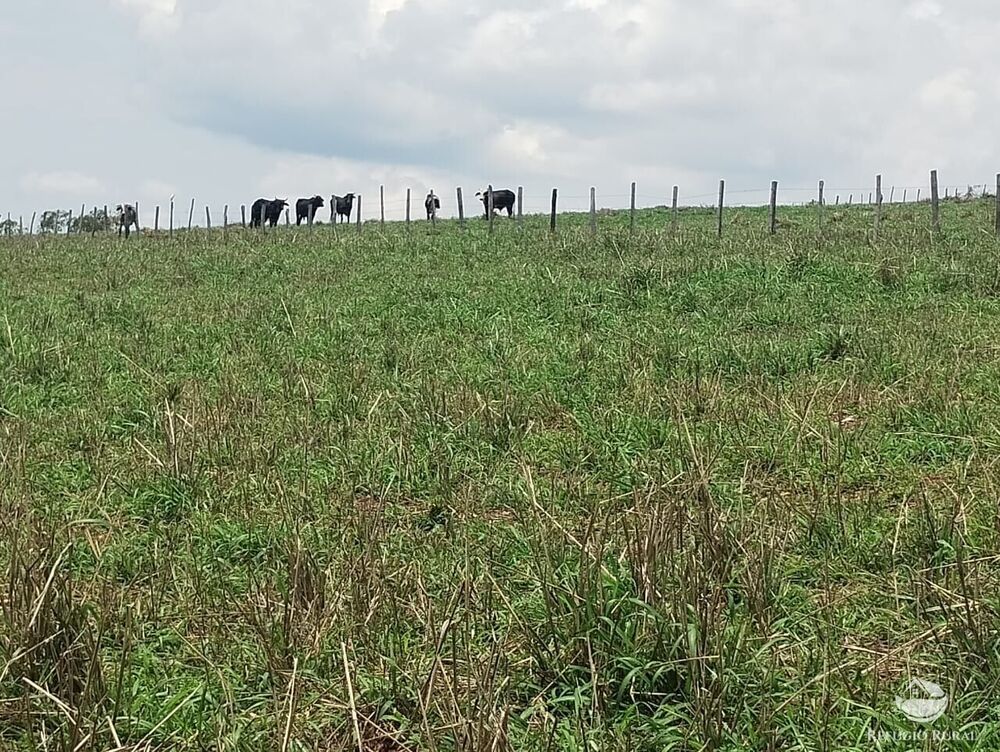 Fazenda à venda com 2 quartos, 774400m² - Foto 8
