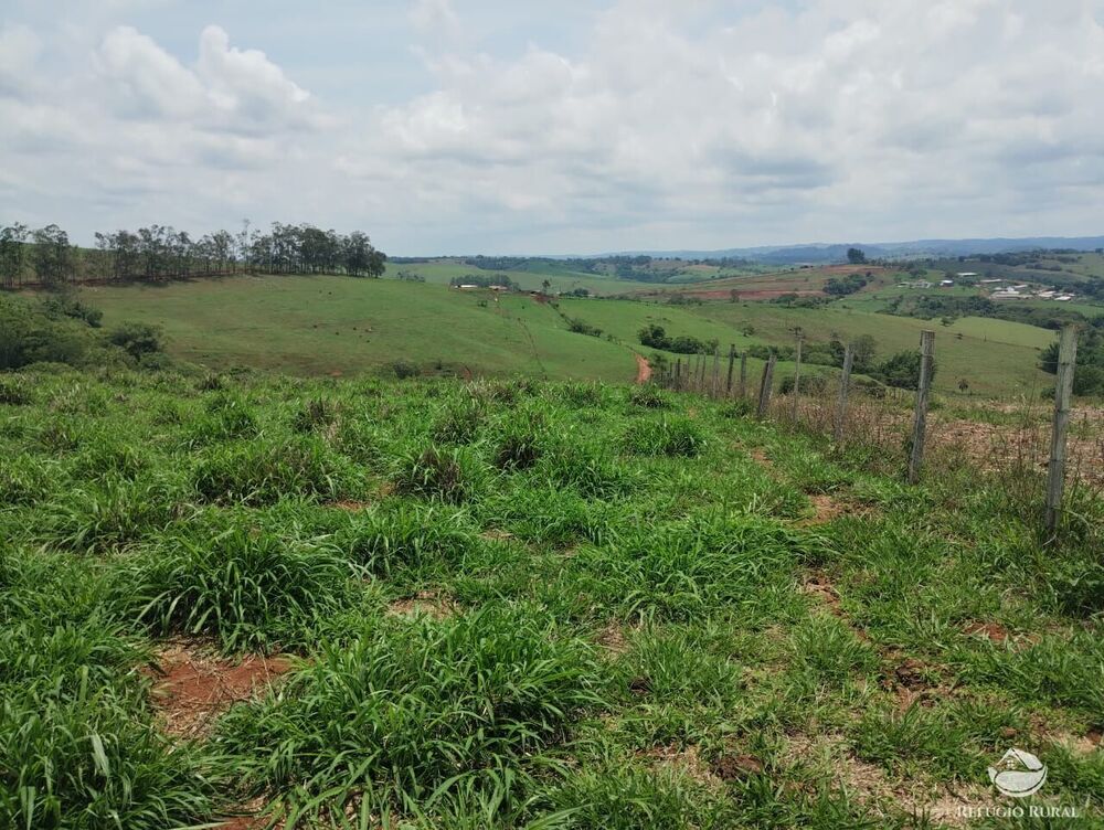 Fazenda à venda com 2 quartos, 774400m² - Foto 7