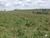 Fazenda-Sítio-Chácara, 77 hectares - Foto 10