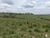 Fazenda-Sítio-Chácara, 77 hectares - Foto 9