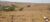 Fazenda-Sítio-Chácara, 77 hectares - Foto 20