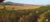 Fazenda-Sítio-Chácara, 77 hectares - Foto 2