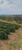 Fazenda-Sítio-Chácara, 77 hectares - Foto 22