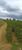 Fazenda-Sítio-Chácara, 77 hectares - Foto 24