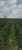 Fazenda-Sítio-Chácara, 77 hectares - Foto 25