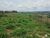 Fazenda-Sítio-Chácara, 77 hectares - Foto 7
