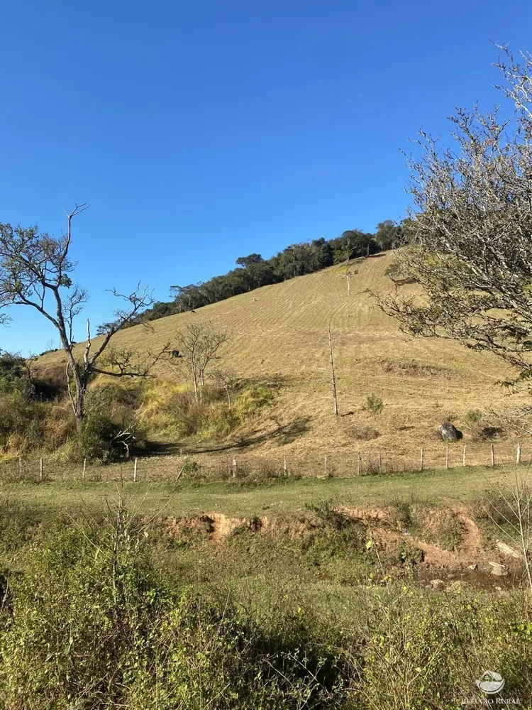 Terreno, 10 hectares - Foto 4