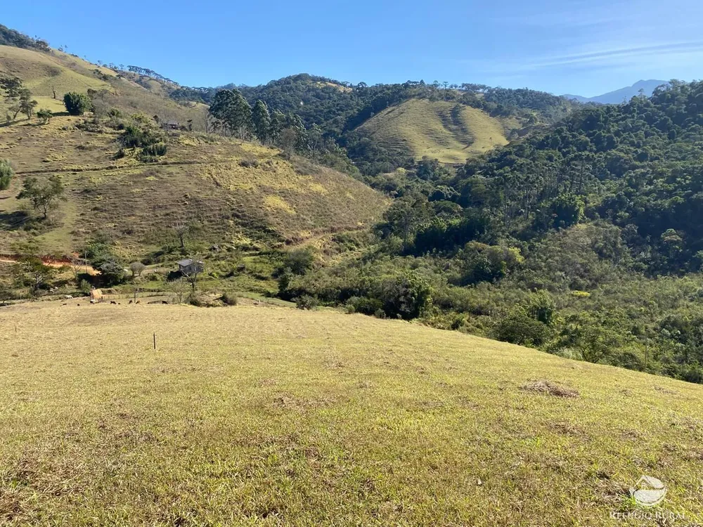 Terreno, 10 hectares - Foto 1