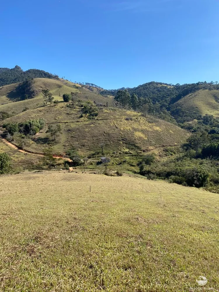 Terreno, 10 hectares - Foto 3