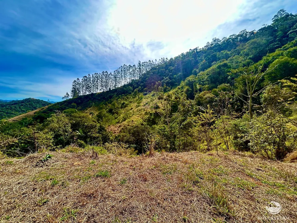 Terreno, 4 hectares - Foto 2