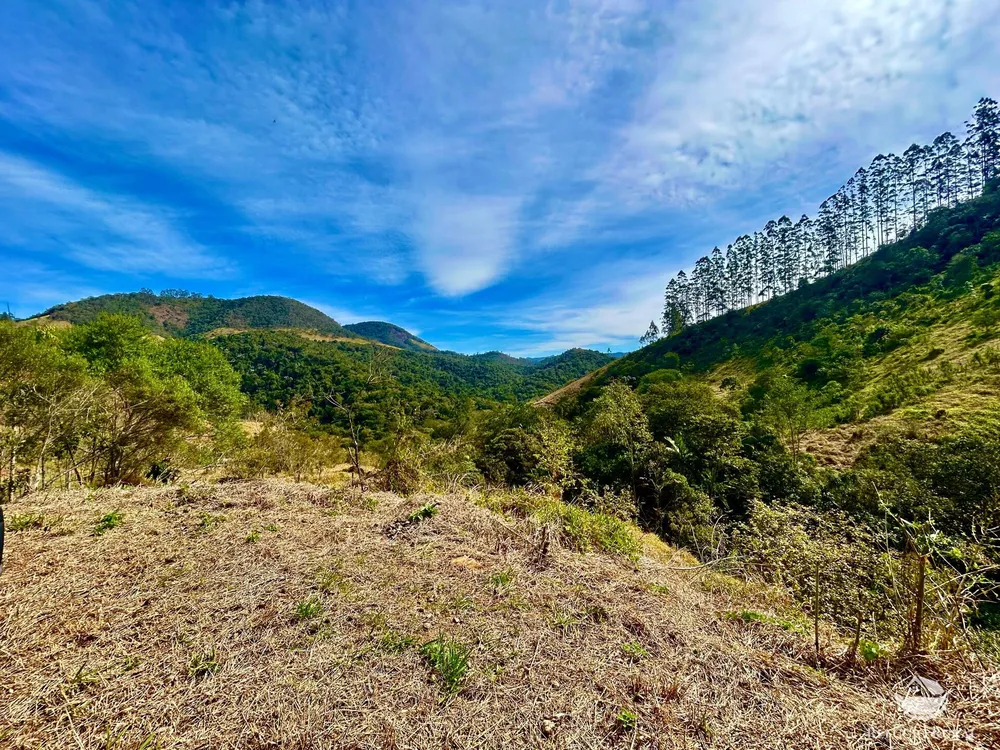 Terreno, 4 hectares - Foto 15