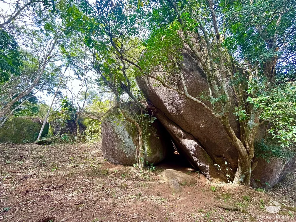 Terreno, 4 hectares - Foto 7