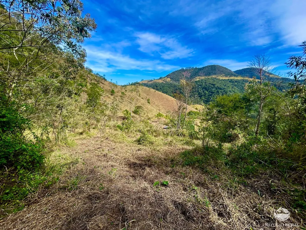 Terreno, 4 hectares - Foto 13