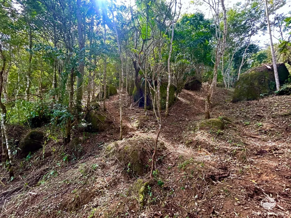 Terreno, 4 hectares - Foto 11