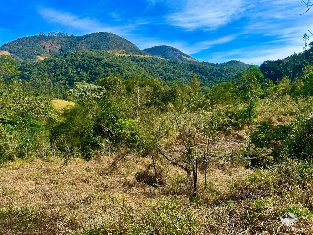 Terreno, 4 hectares - Foto 3