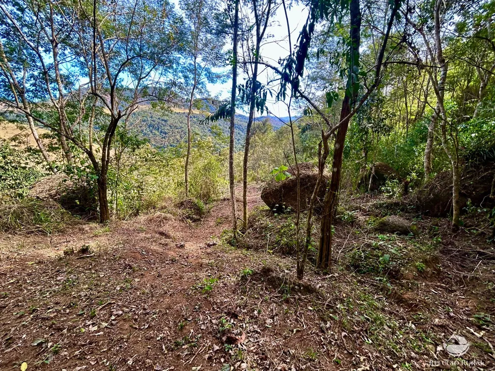Terreno, 4 hectares - Foto 10