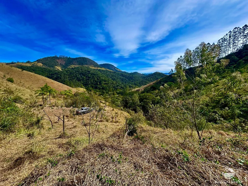 Terreno, 4 hectares - Foto 1