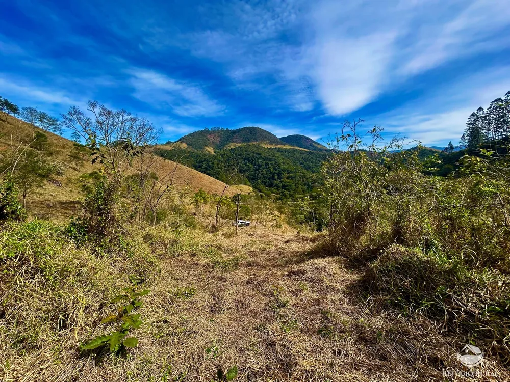 Terreno, 4 hectares - Foto 14