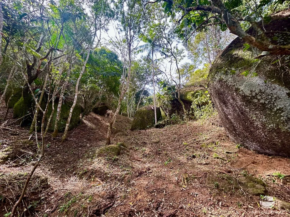 Terreno, 4 hectares - Foto 12