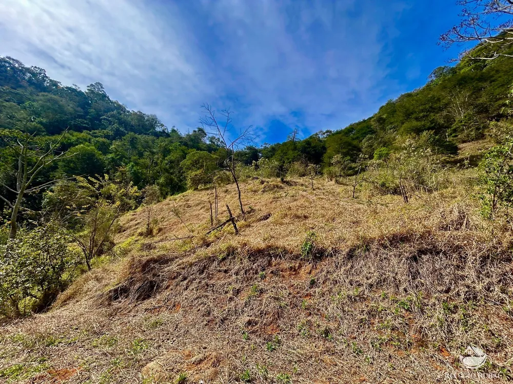 Terreno, 4 hectares - Foto 16