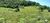 Fazenda, 1 quarto - Foto 2