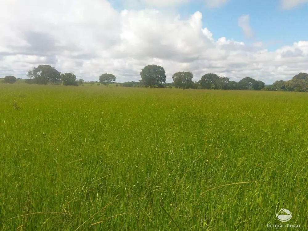 Fazenda, 4007 hectares - Foto 10