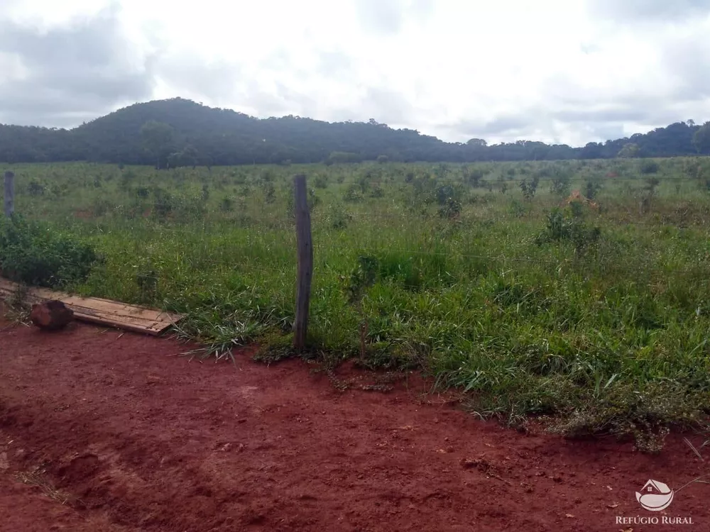 Fazenda, 4007 hectares - Foto 9