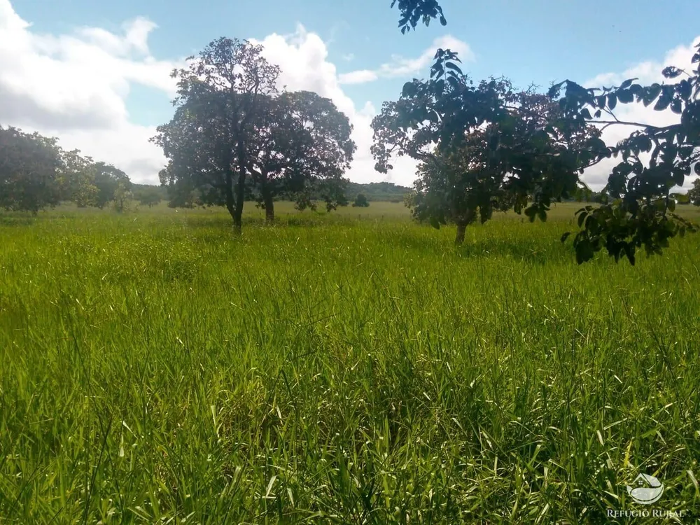 Fazenda, 4007 hectares - Foto 16