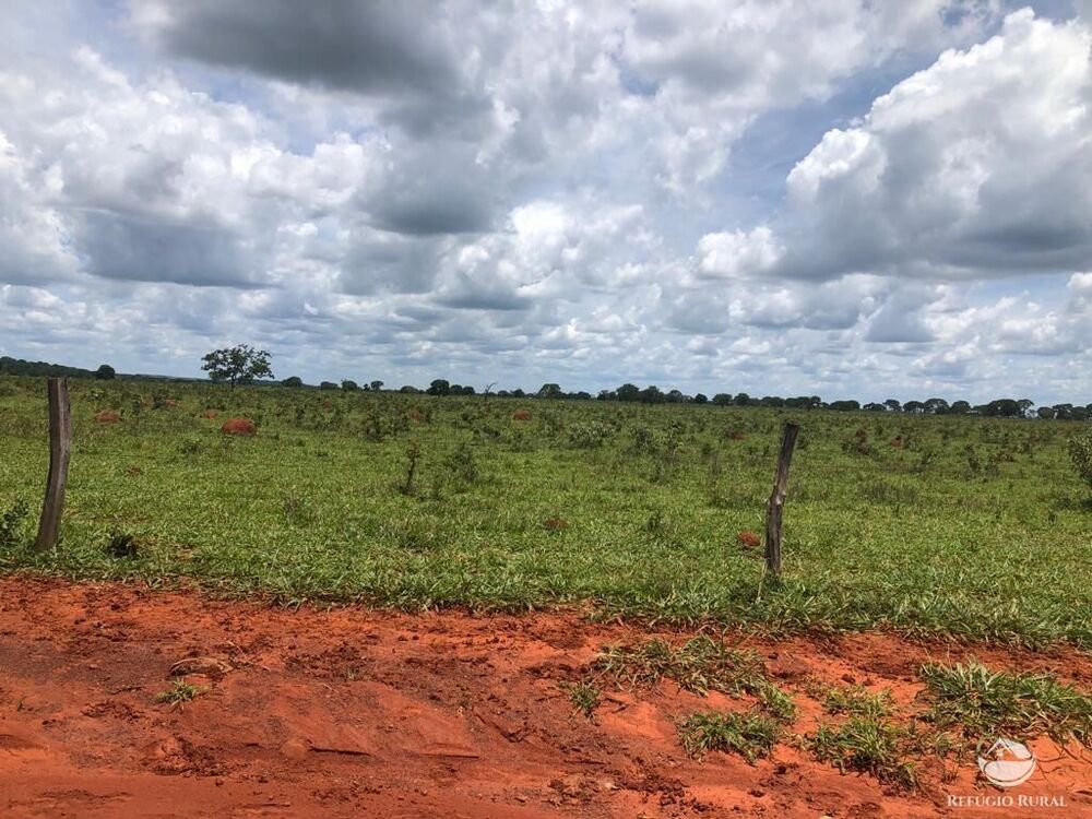 Fazenda à venda com 4 quartos, 40070000m² - Foto 11