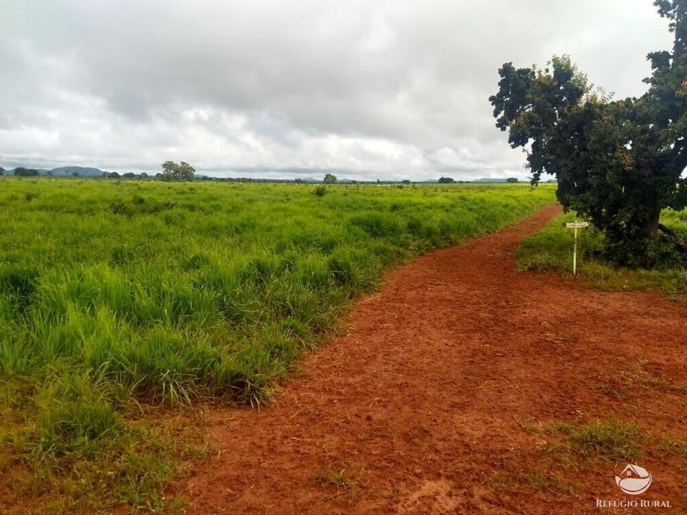 Fazenda à venda com 4 quartos, 40070000m² - Foto 2