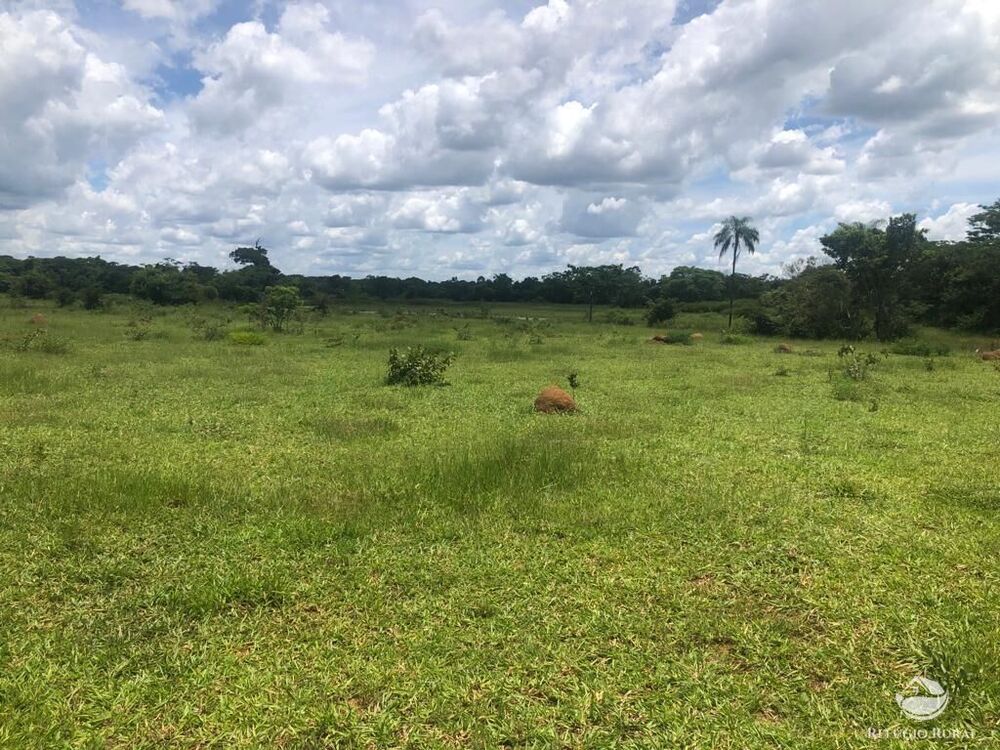 Fazenda à venda com 4 quartos, 40070000m² - Foto 4