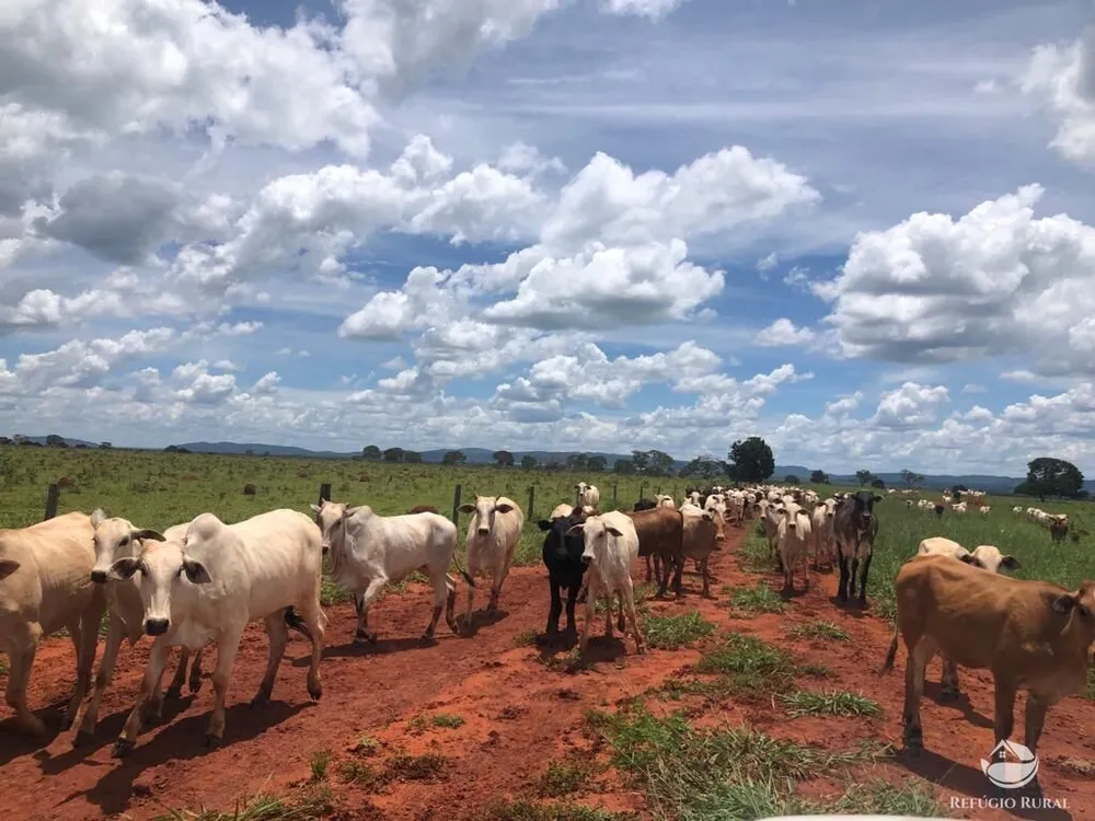 Fazenda, 4007 hectares - Foto 3